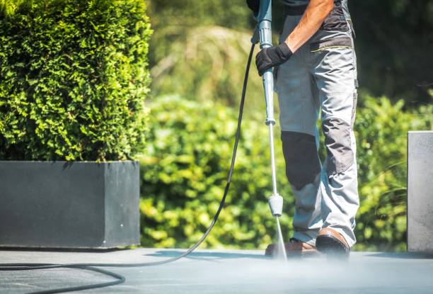 Best Fence Cleaning  in Twin Grove, IL